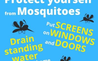 Mosquito Awareness