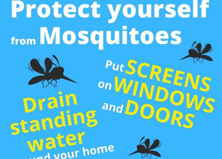 Mosquito Awareness